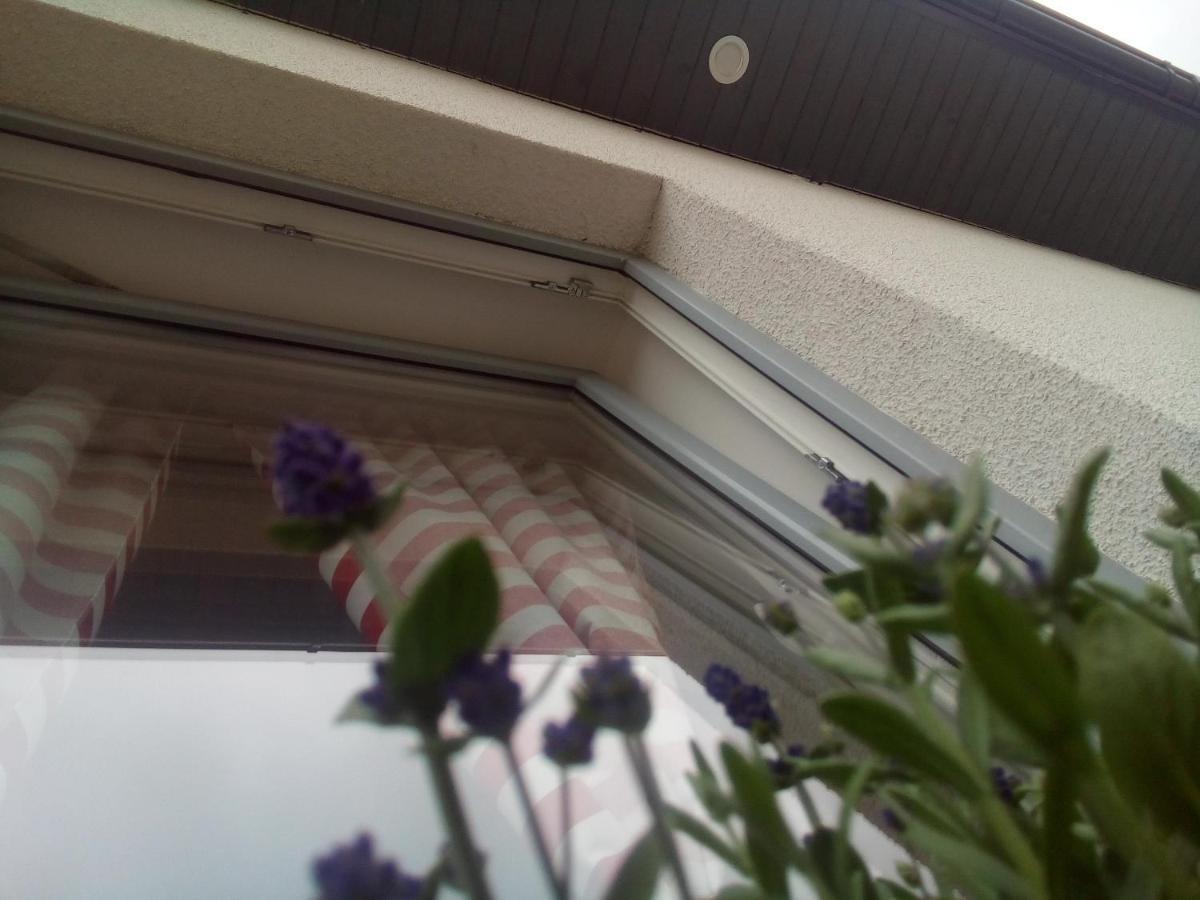 Domki Osada Kalinowa Leba Nowecin Sauna Bagian luar foto